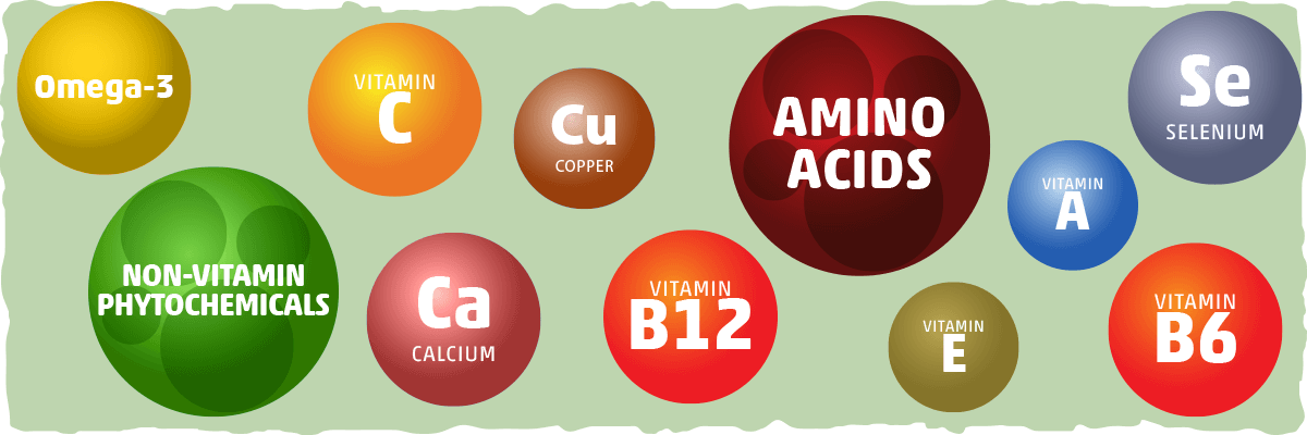 A Closer Look at Collagen-Forming Nutrients