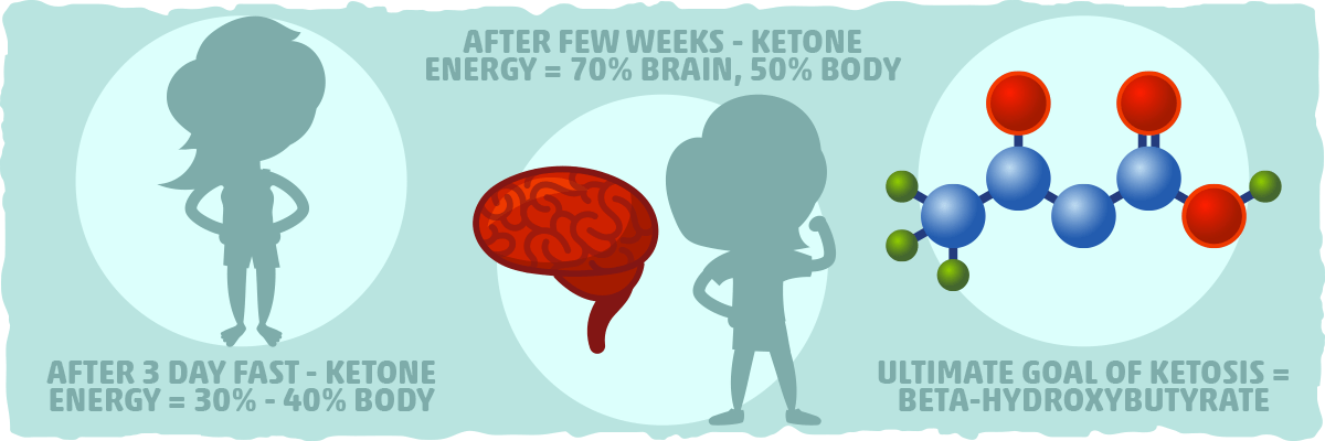 Acetoacetate and the Ketogenic Diet