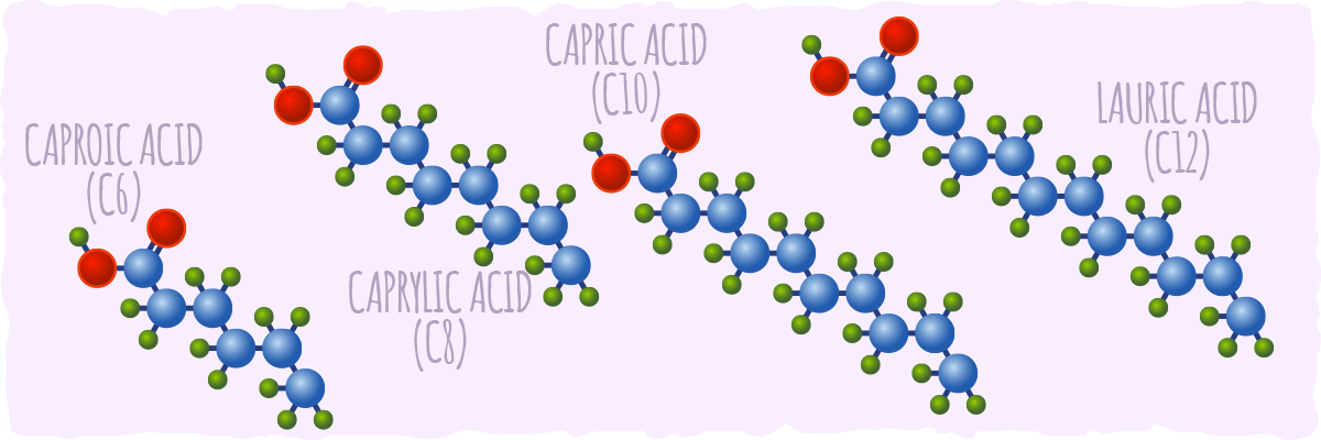 Different Types of Medium Chain Triglycerides