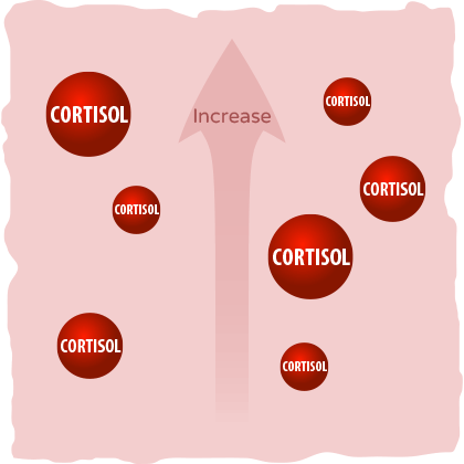 Cortisol levels increase in your body.