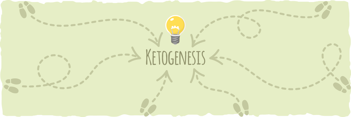 gluconeogenesis symptoms