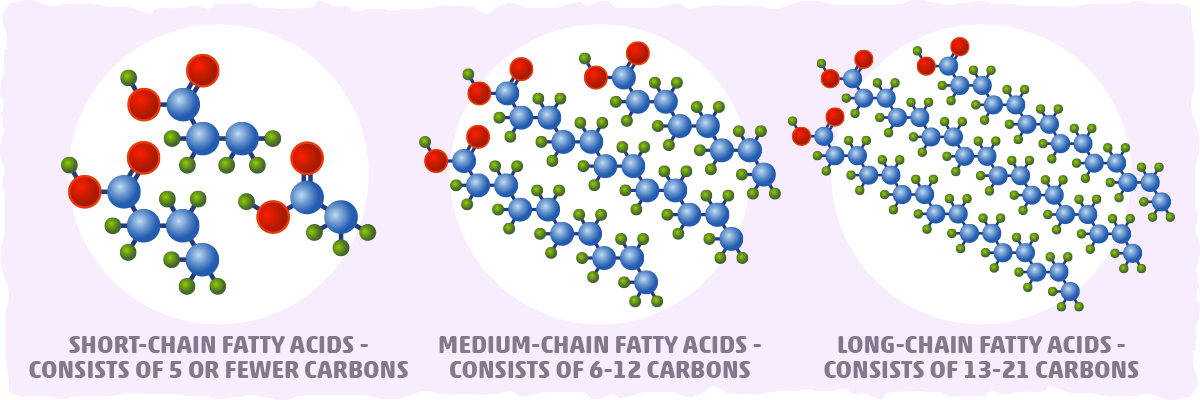 Fatty Acid Chain Length