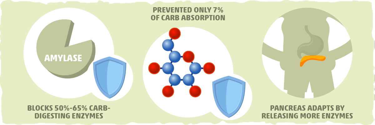 How Effective Are Carb Blockers at Blocking Carb Digestion?