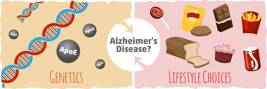 How do How Genetics Apply To Alzheimer's?