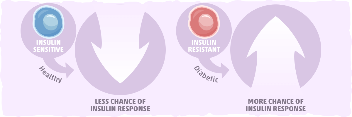 How Too Much Protein Becomes a Problem: Why Insulin and Glucagon Matter for Keto Dieters