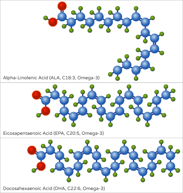 Structure of Omega 3 fatty acids