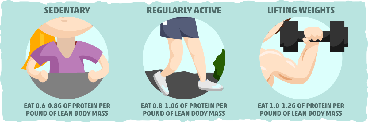 Optimizing Your Carnivore Diet for Ketosis: Protein Intake Essentials