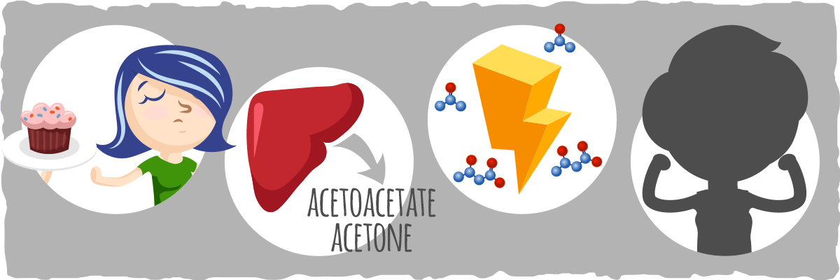 Putting it all Together — A Quick Overview of Ketosis