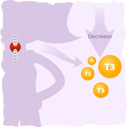 T3 and thyroid hormone levels decrease in your body.