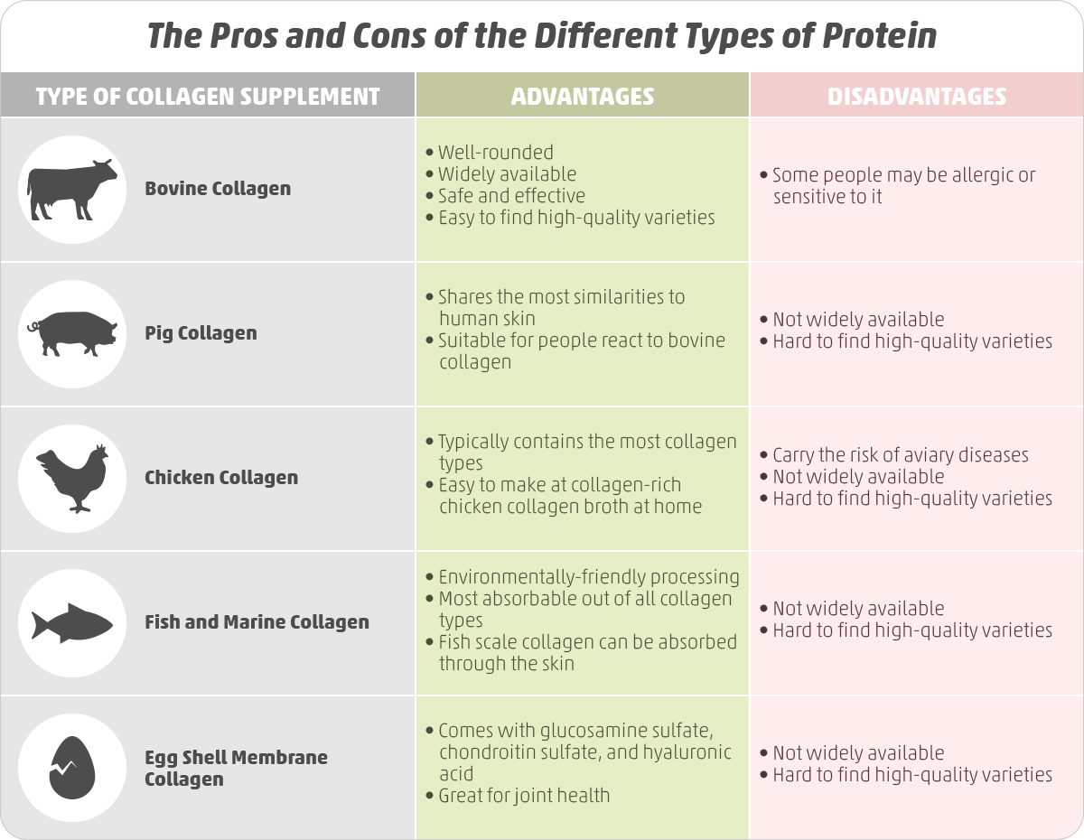 The Main Types of Collagen Peptides