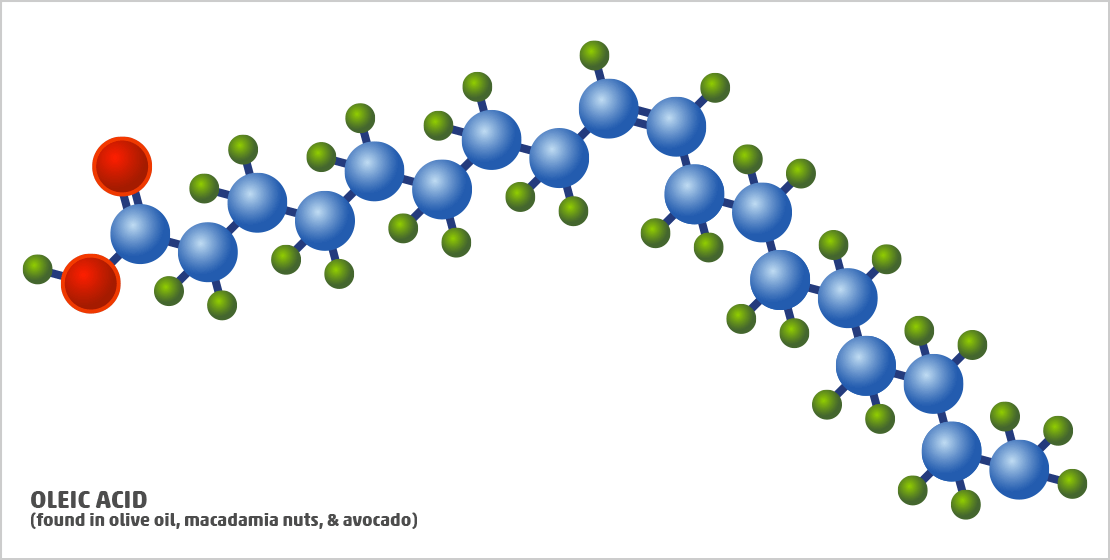 Monounsaturated Fat Examples