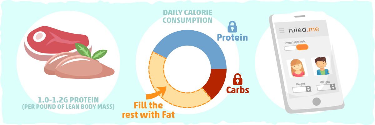 What is the Right Amount of Calories and Protein?