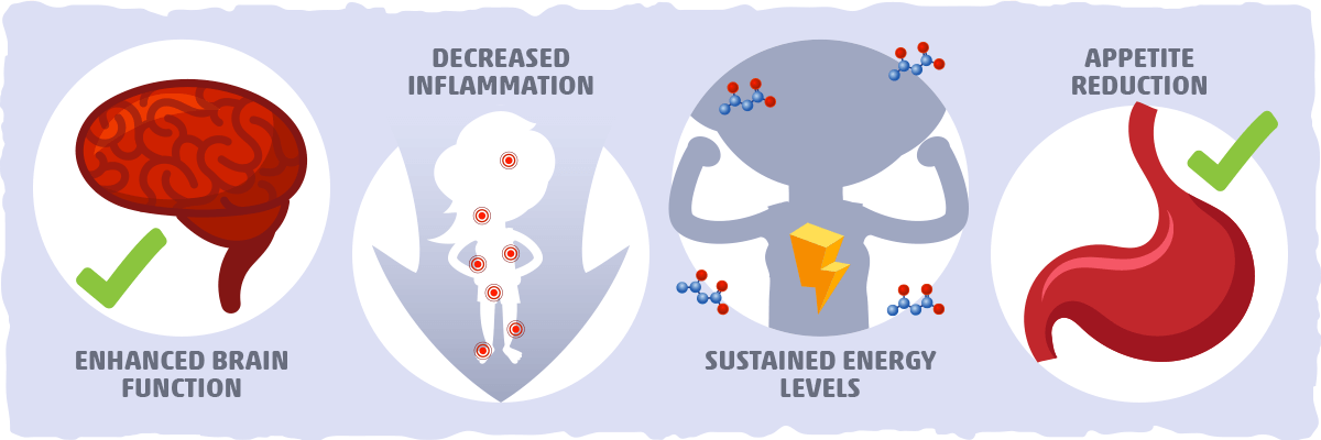 Why Testing Your Ketone levels is Important