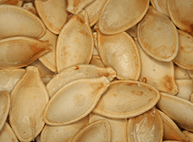 pumpkinseeds